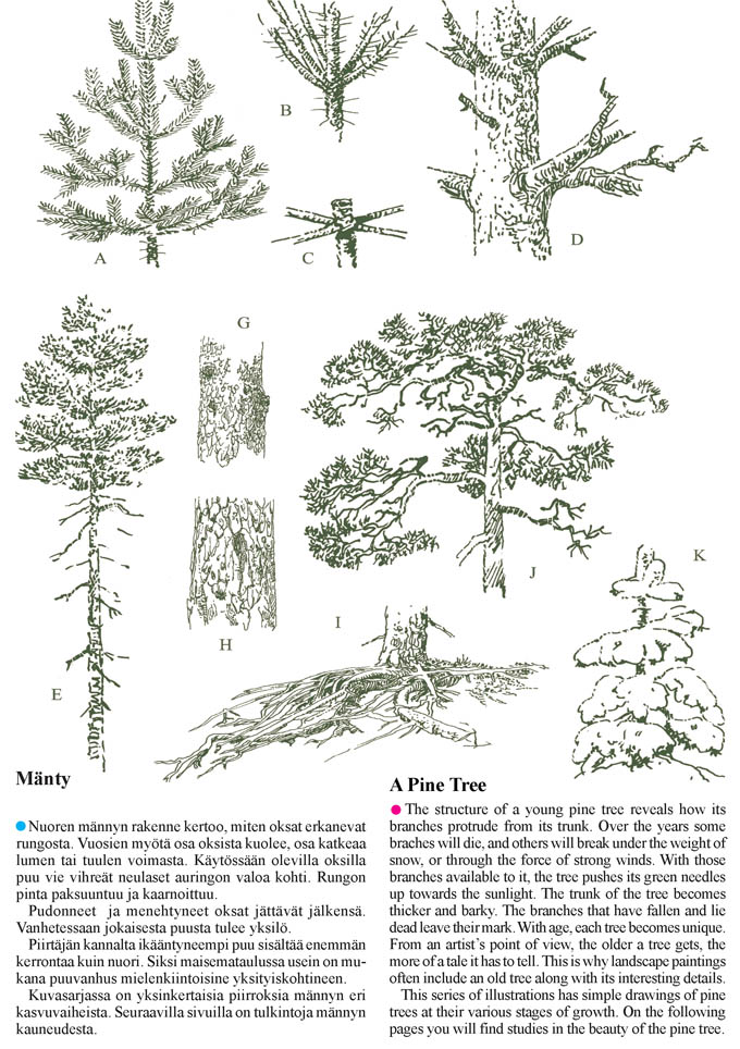 Sivu latautuu - Page is loading