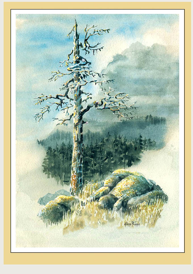 Sivu latautuu - Page is loading