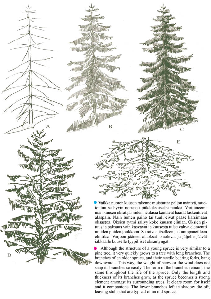 Sivu latautuu - Page is loading