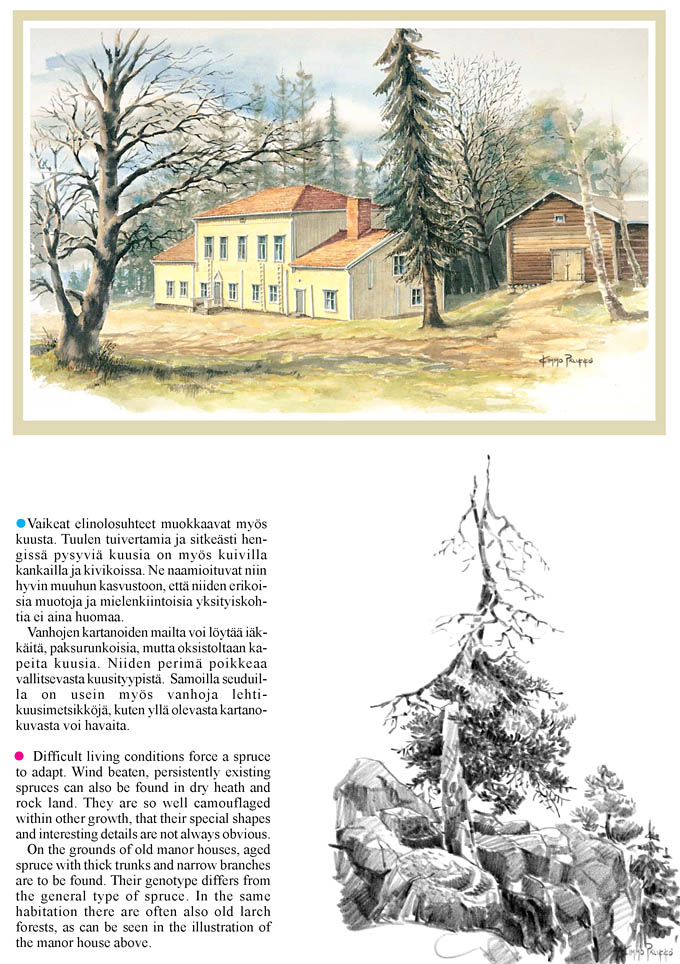 Sivu latautuu - Page is loading