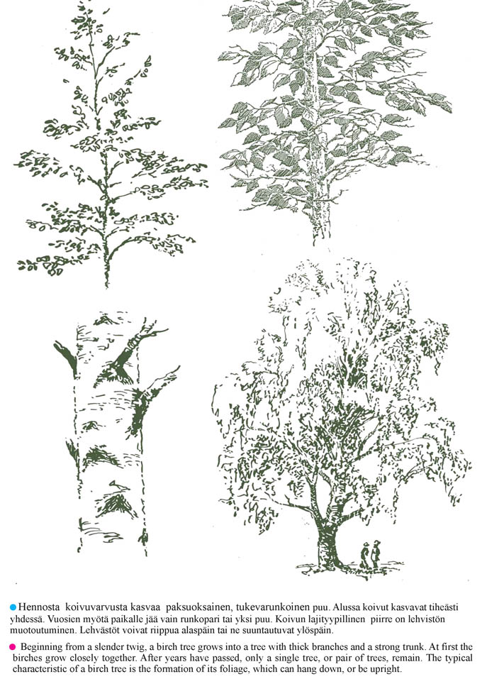 Sivu latautuu - Page is loading