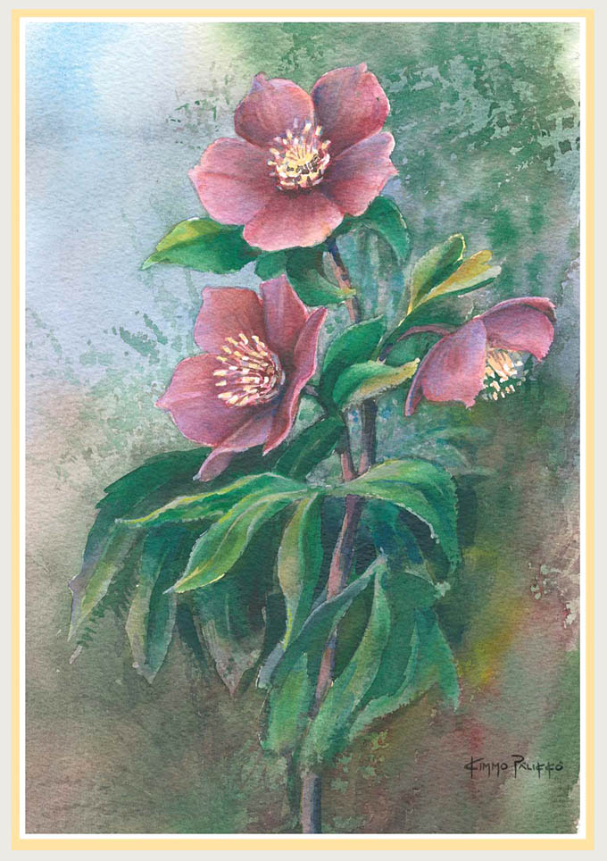 Sivu latautuu - Page is loading