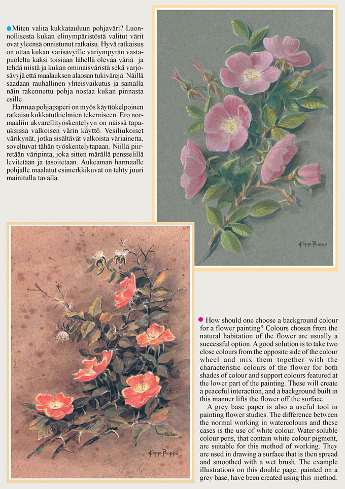 Sivu latautuu - Page is loading